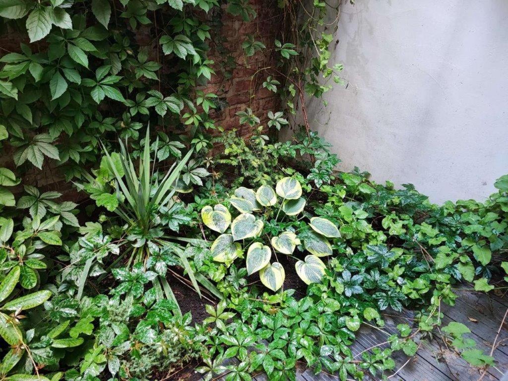 Central Vienna Apartment With Unique 40M2 City Garden & Self Check In エクステリア 写真