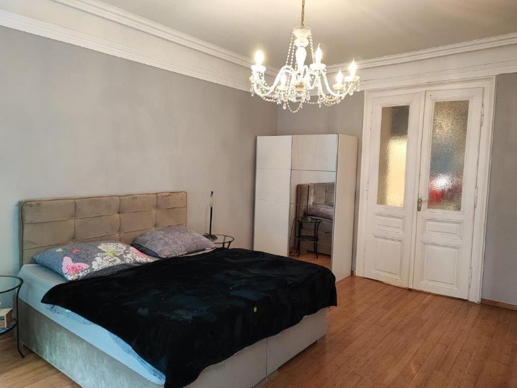 Central Vienna Apartment With Unique 40M2 City Garden & Self Check In エクステリア 写真